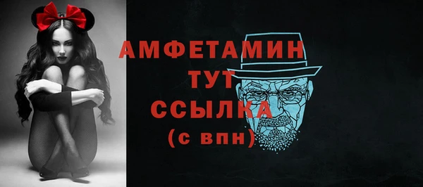 apvp Снежногорск